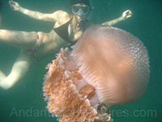 ao nang snorkel, thailand