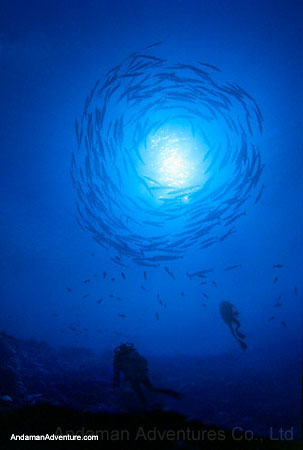 Scuba Diving near Ao Nang and Railay, Krabi, Thailand