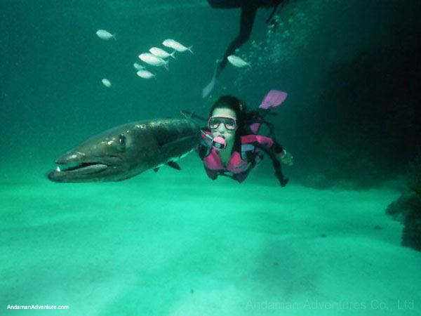 similan